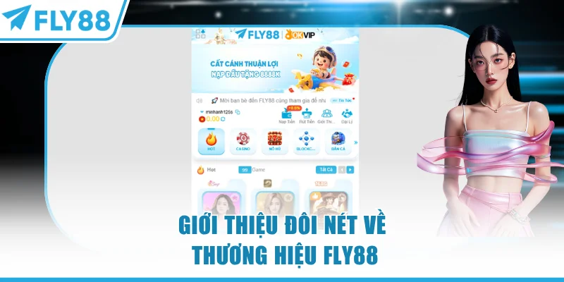 Giới thiệu đôi nét về thương hiệu FLY88